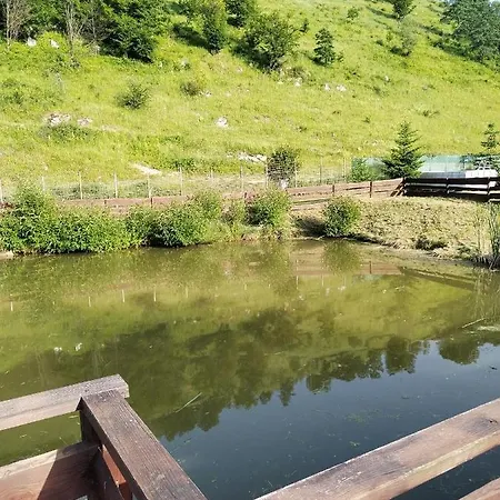 Campsite Balta Lu'fanea Tomnatic (Bihor)